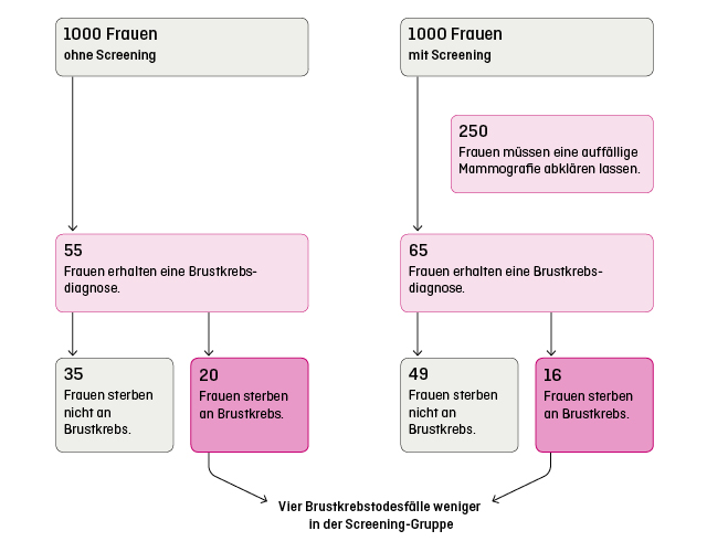 Image - 2.1.4_Brustkrebs_Screening_Zahlen_D.jpg
