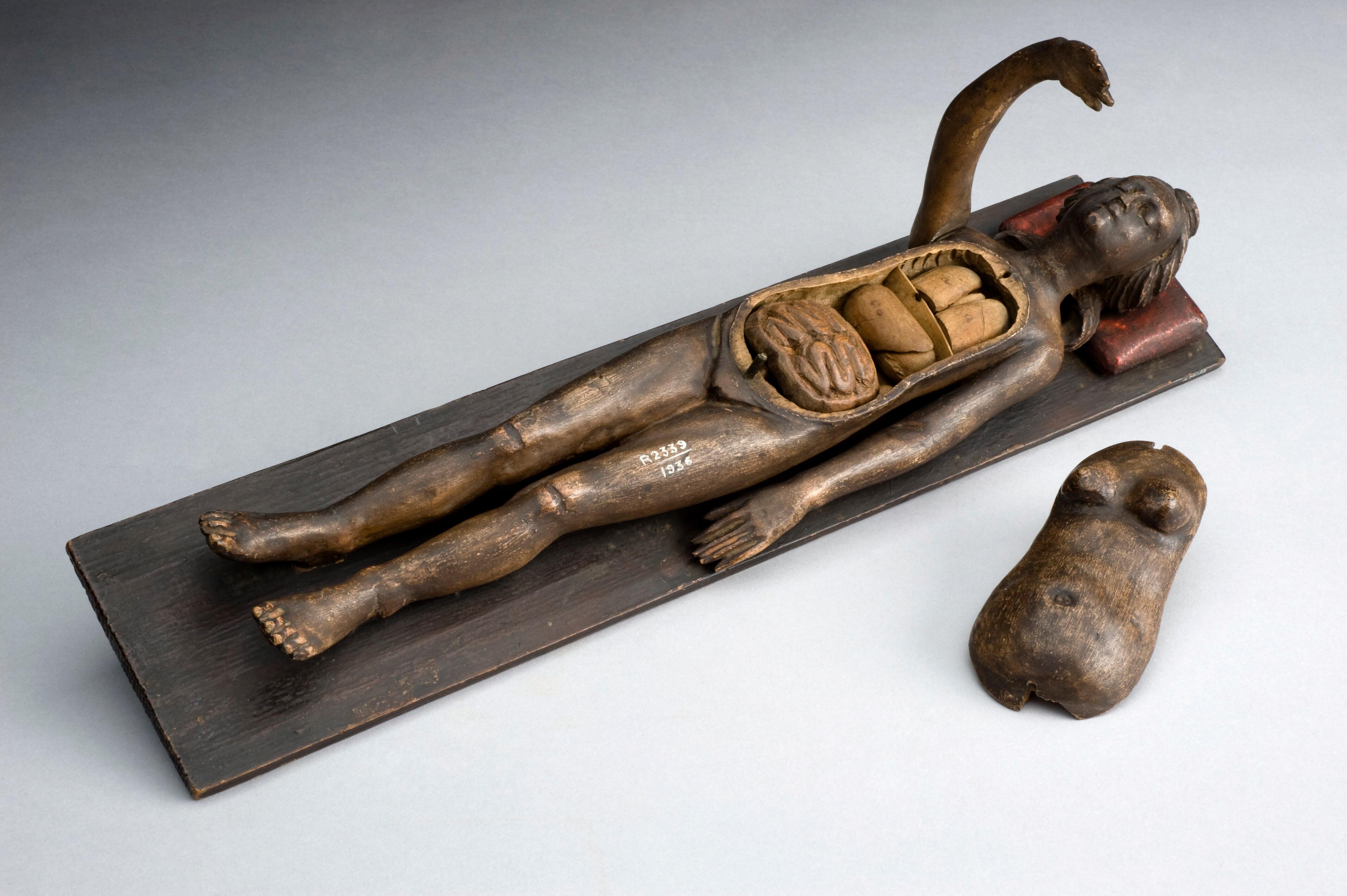 Figurine anatomique föminine en bois, Wellcome collection