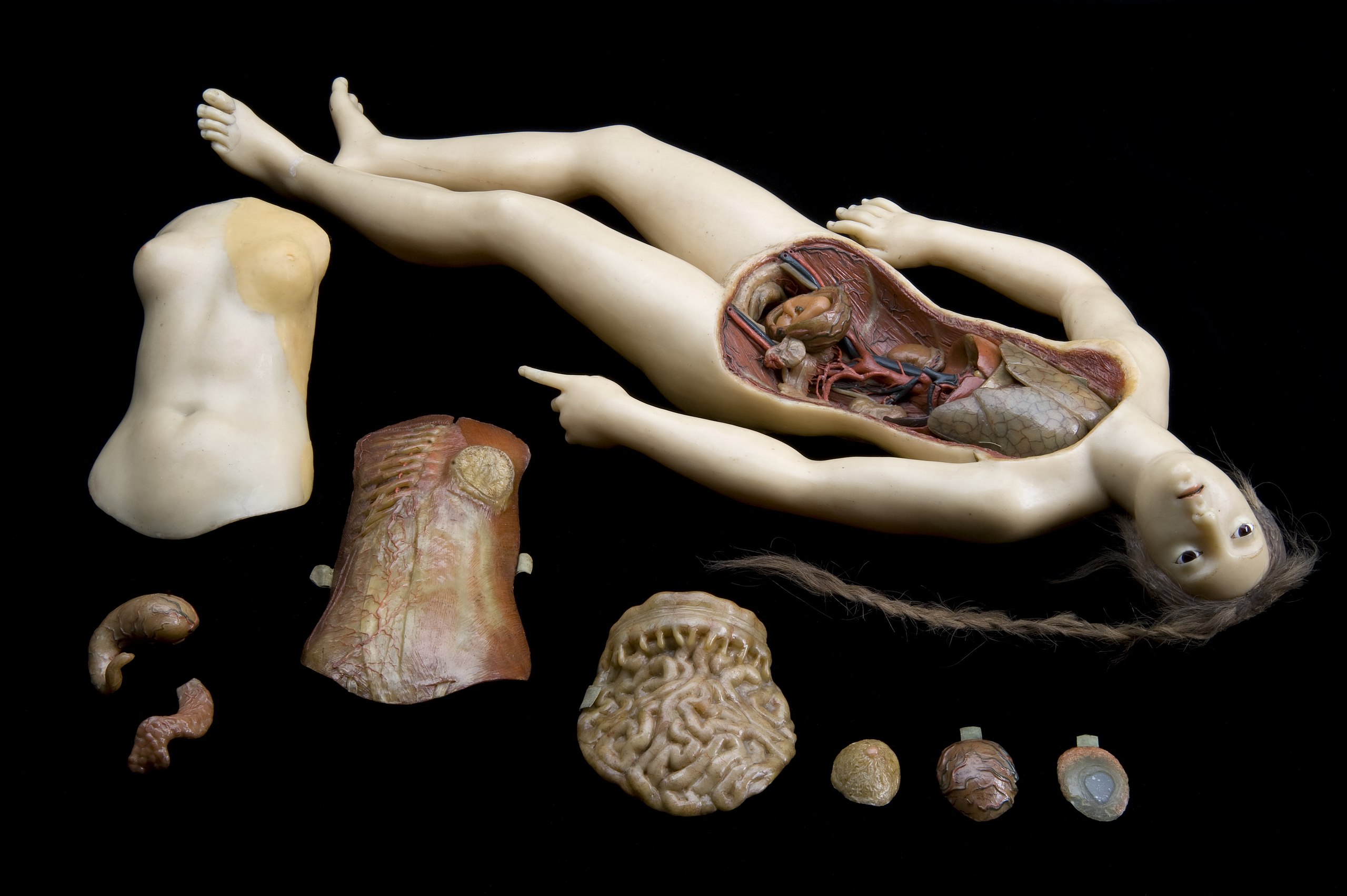 Cire anatomique de femme allongée  (ou Vénus anatomique) avec organes internes amovibles, probablement de l’atelier de Clemente Susini
