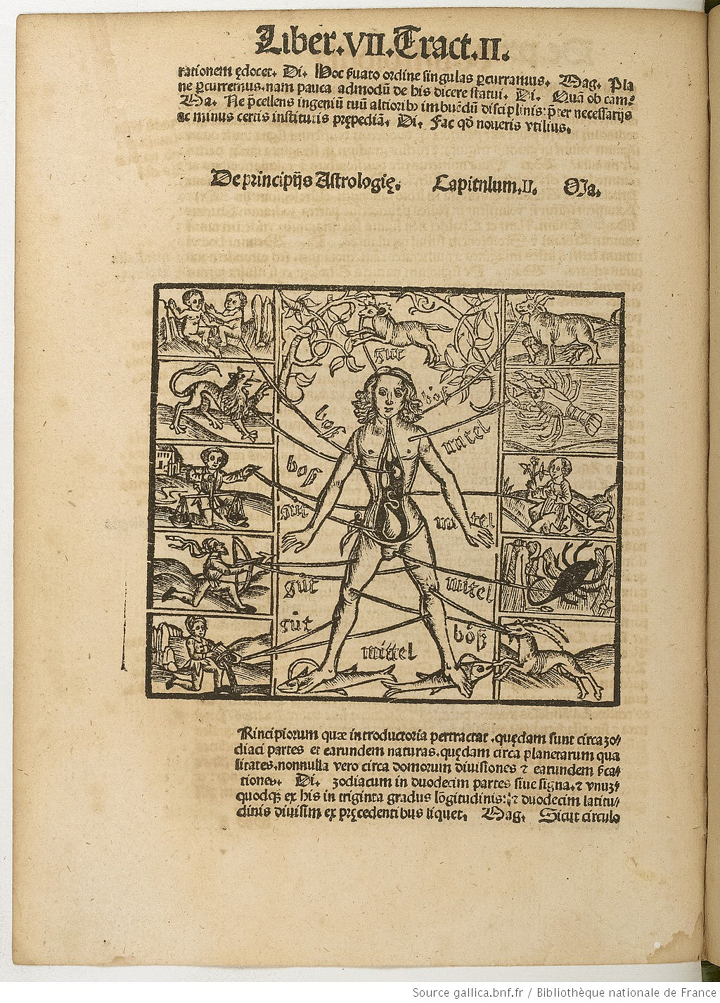 Image de l'homme zodiacal dans le manuscrit La Margarita philosophica